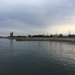 早朝メバリング